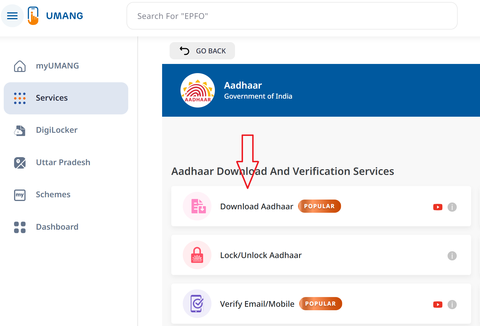 Masked Aadhaar UMANG
